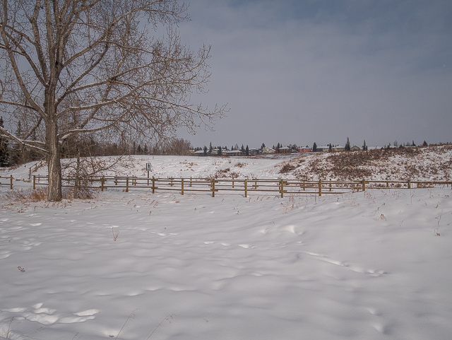 Fish Creek Park Calgary