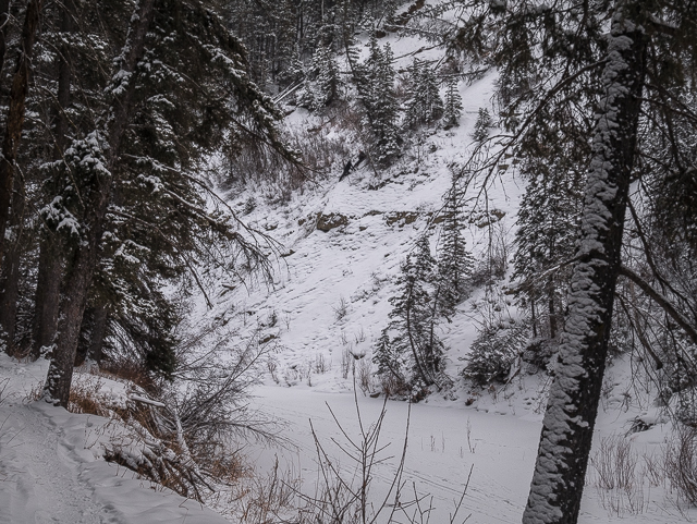 Winter Hike Fish Creek Park