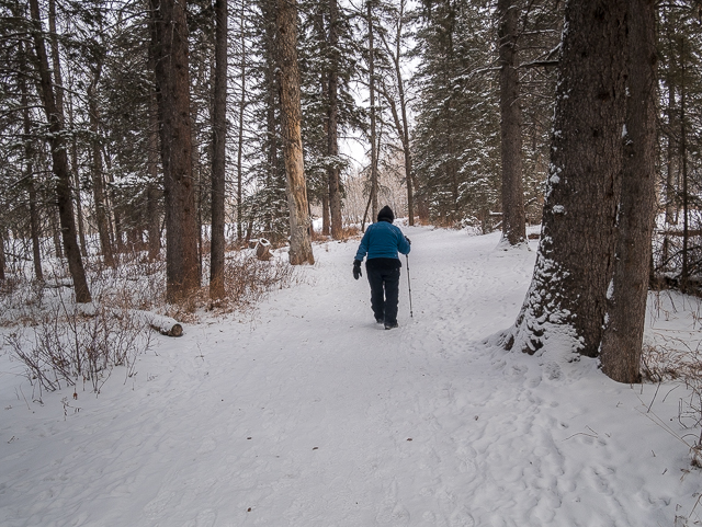 Winter Hiking Fish Creek Park