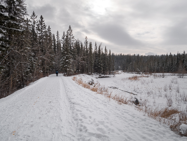 Winter Walk Fish Creek Park