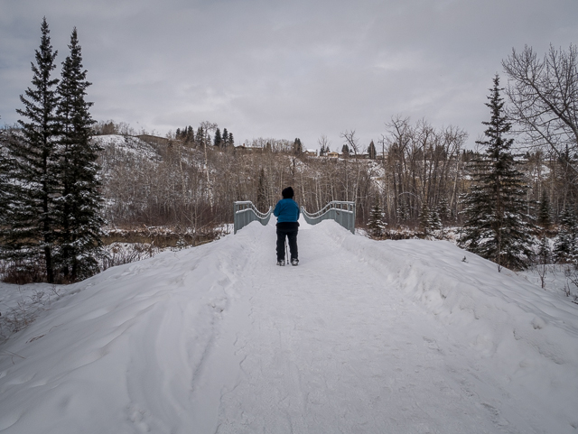 Bridge Fish Creek Park