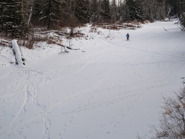 Fish Creek Snowshoer