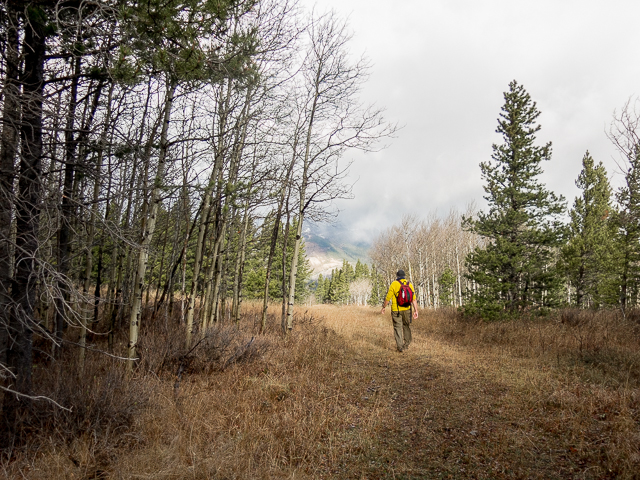 Crowsnest Pass Hike