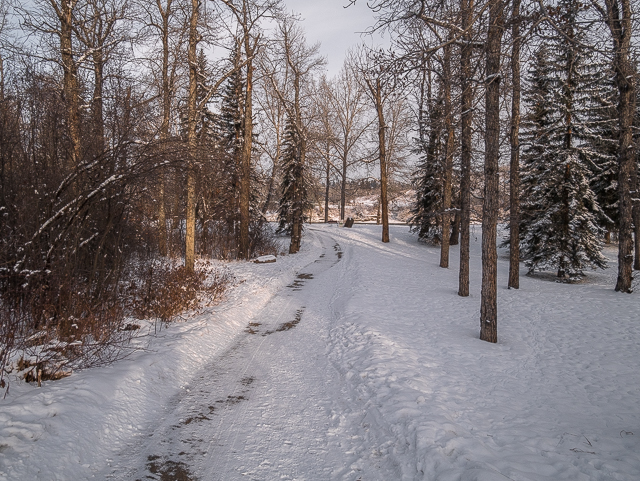 Calgary Sandy Beach Park