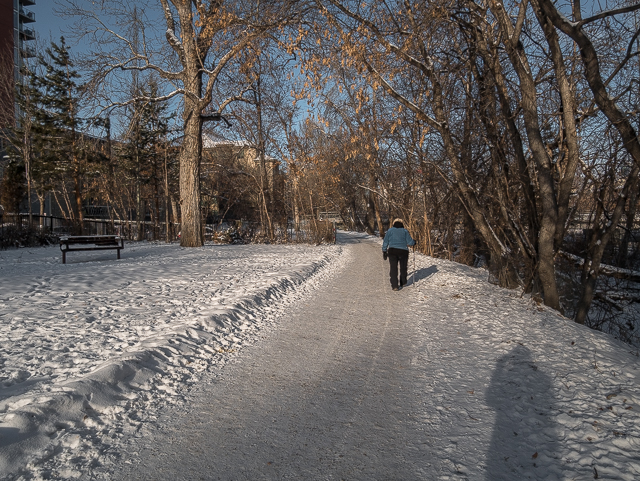 Winter Calgary Pathways