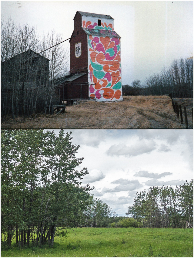 Nier Alberta Grain Elevator