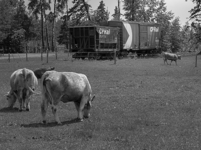 CP Boxcar and Ore Car