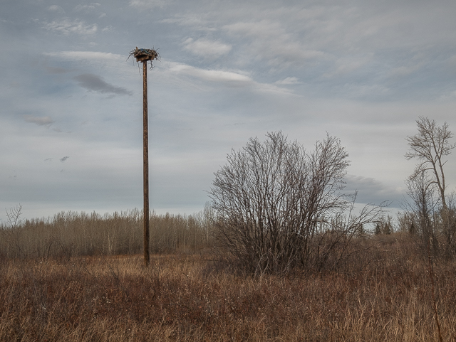 Rotary Forest High River