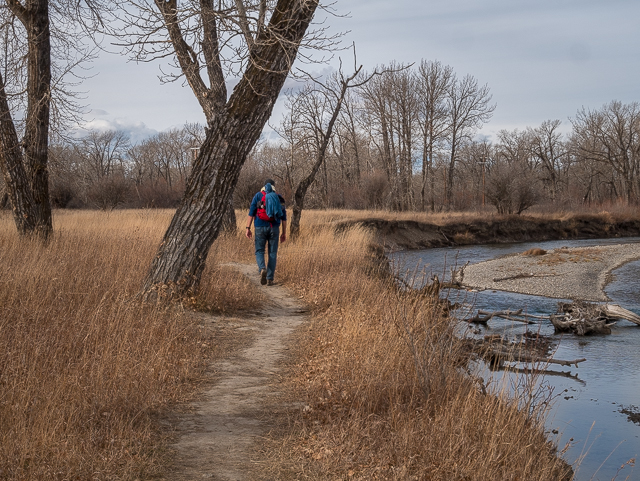 Rotary Forest Hike High River
