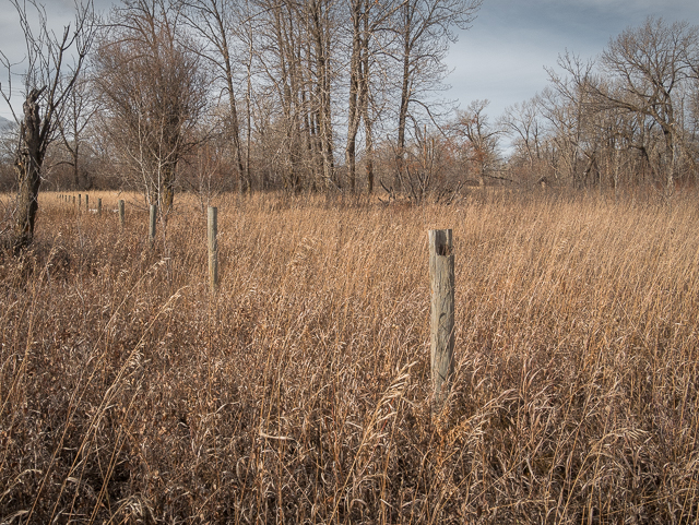 Rotary Forest High River AB