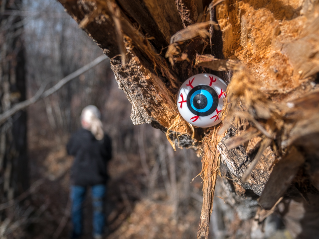 Rotary Trails Eye