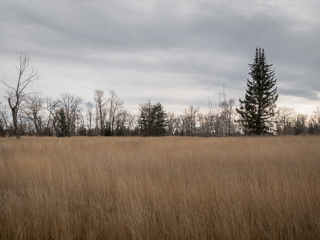Beachwood Estates High River