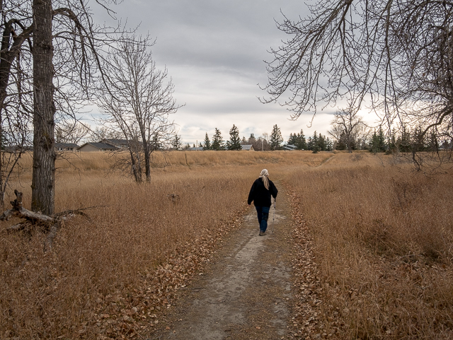 Rotary Trails in High River
