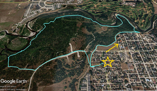 Rotary Forest High River Track