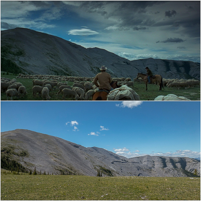Brokeback Mountain Moose Mountain